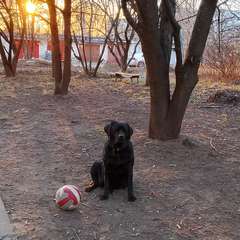 Фото отзыва 11025813