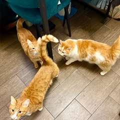 Фото отзыва 10535548