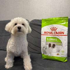 Фото отзыва 10963216