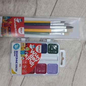 Краски акварель Erhaft 16 цв.: отзыв пользователя Детский Мир