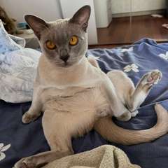 Фото отзыва 10964946