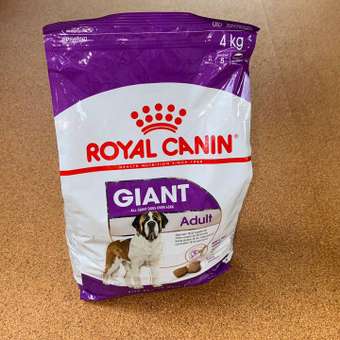 Корм для собак ROYAL CANIN гигантских пород 4кг: отзыв пользователя. Зоомагазин Зоозавр