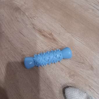 Игрушка для собак Barbaks Палочка-кость голубая из TRP 11*3*3 см: отзыв пользователя. Зоомагазин Зоозавр