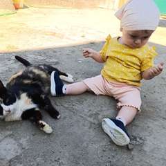 Фото отзыва 10587408