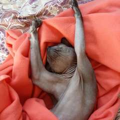 Фото отзыва 10463439