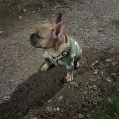 Фото отзыва 10748065