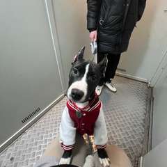 Фото отзыва 11082423