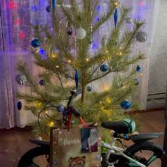 Фото отзыва 10999273