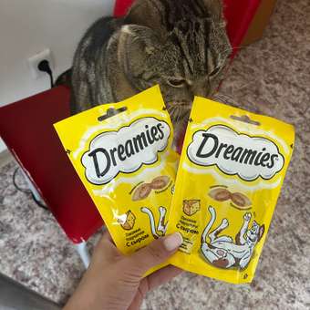 Лакомство для кошек Dreamies с сыром 140г: отзыв пользователя. Зоомагазин Зоозавр