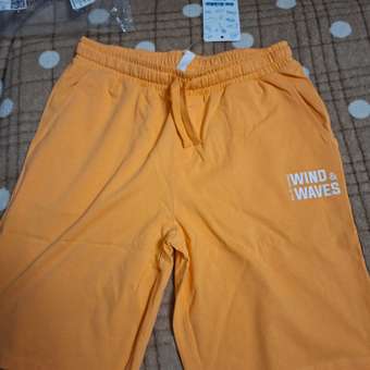 Шорты Acoola: отзыв пользователя Детский Мир