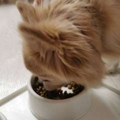 Фото отзыва 11029519