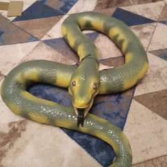 Фото отзыва 10837083