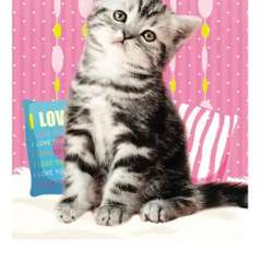 Фото отзыва 10170018