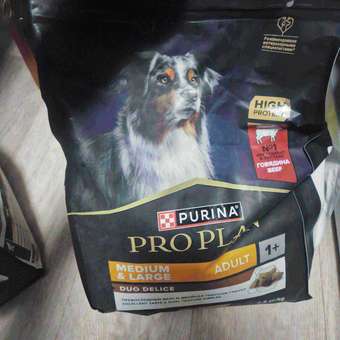 Корм сухой для собак PRO PLAN DUO DELICE 2.5 кг с говядиной для средних и крупных пород: отзыв пользователя. Зоомагазин Зоозавр