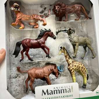 Игровой набор Attivio: отзыв пользователя Детский Мир