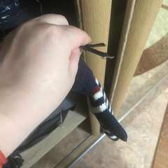 Фото отзыва 8348715