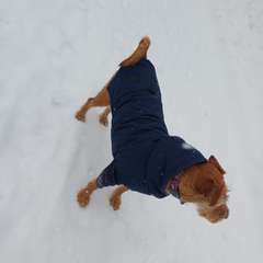 Фото отзыва 10918072