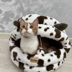 Фото отзыва 10945048