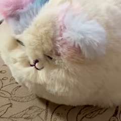 Видео отзыва 10613049