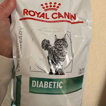 Корм для кошек ROYAL CANIN Diabetic при сахарном диабете 1.5кг: отзыв пользователя. Зоомагазин Зоозавр