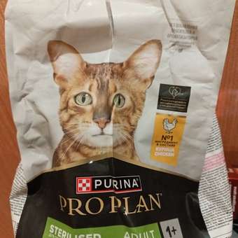 Корм сухой для кошек PRO PLAN 1.5кг с курицей при стерилизации и кастрации c чувствительным пищеварением: отзыв пользователя. Зоомагазин Зоозавр