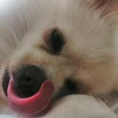 Фото отзыва 10791636