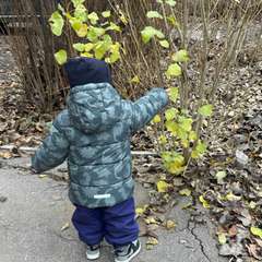 Фото отзыва 10698829