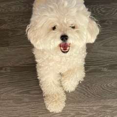 Фото отзыва 10583485