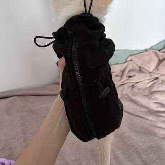 Комбинезон для собак Зоозавр: отзыв пользователя. Зоомагазин Зоозавр