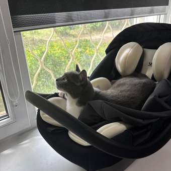 Коляска 3в1 Sweet Baby Ranger Neo Grey серый: отзыв пользователя Детский Мир