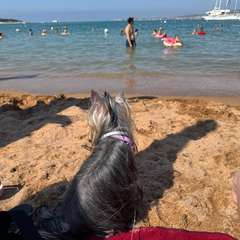 Фото отзыва 11266759