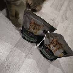 Фото отзыва 10639591