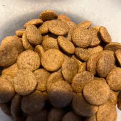 Фото отзыва 10976260