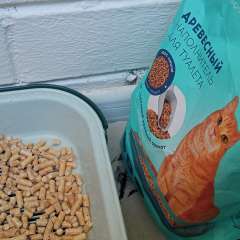 Фото отзыва 10754110