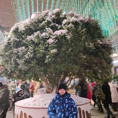 Фото отзыва 10979277