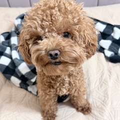 Фото отзыва 10738630