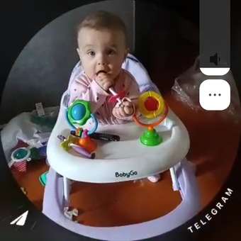 Ходунки BabyGo Walker сиреневый: отзыв пользователя Детский Мир