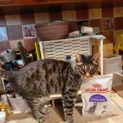 Фото отзыва 10495451