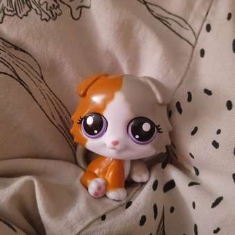 Игровой набор Littlest Pet Shop: отзыв пользователя Детский Мир
