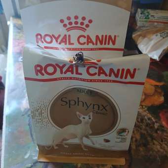 Корм сухой для кошек ROYAL CANIN Sphynx 400г породы сфинк: отзыв пользователя. Зоомагазин Зоозавр