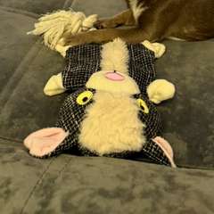 Фото отзыва 10723960