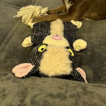 Игрушка для собак Barbaks Барашек Груня мягкий пищит шуршит 36*19см: отзыв пользователя. Зоомагазин Зоозавр