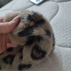 Фото отзыва 11036516