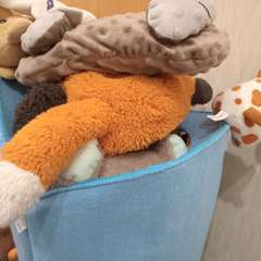 Фото отзыва 11322663