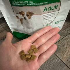 Фото отзыва 10702275