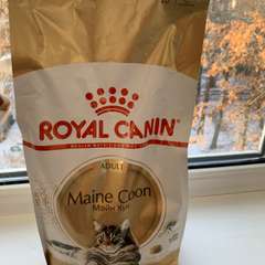 Фото отзыва 10757111