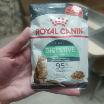 Корм для кошек Royal Canin 85г Digestive Care соус: отзыв пользователя. Зоомагазин Зоозавр
