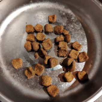 Корм сухой для котят ROYAL CANIN British Shorthair 400г породы британской короткошерстной: отзыв пользователя. Зоомагазин Зоозавр