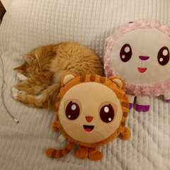 Фото отзыва 11000124