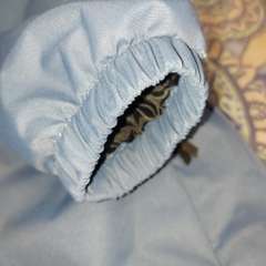 Фото отзыва 6954214